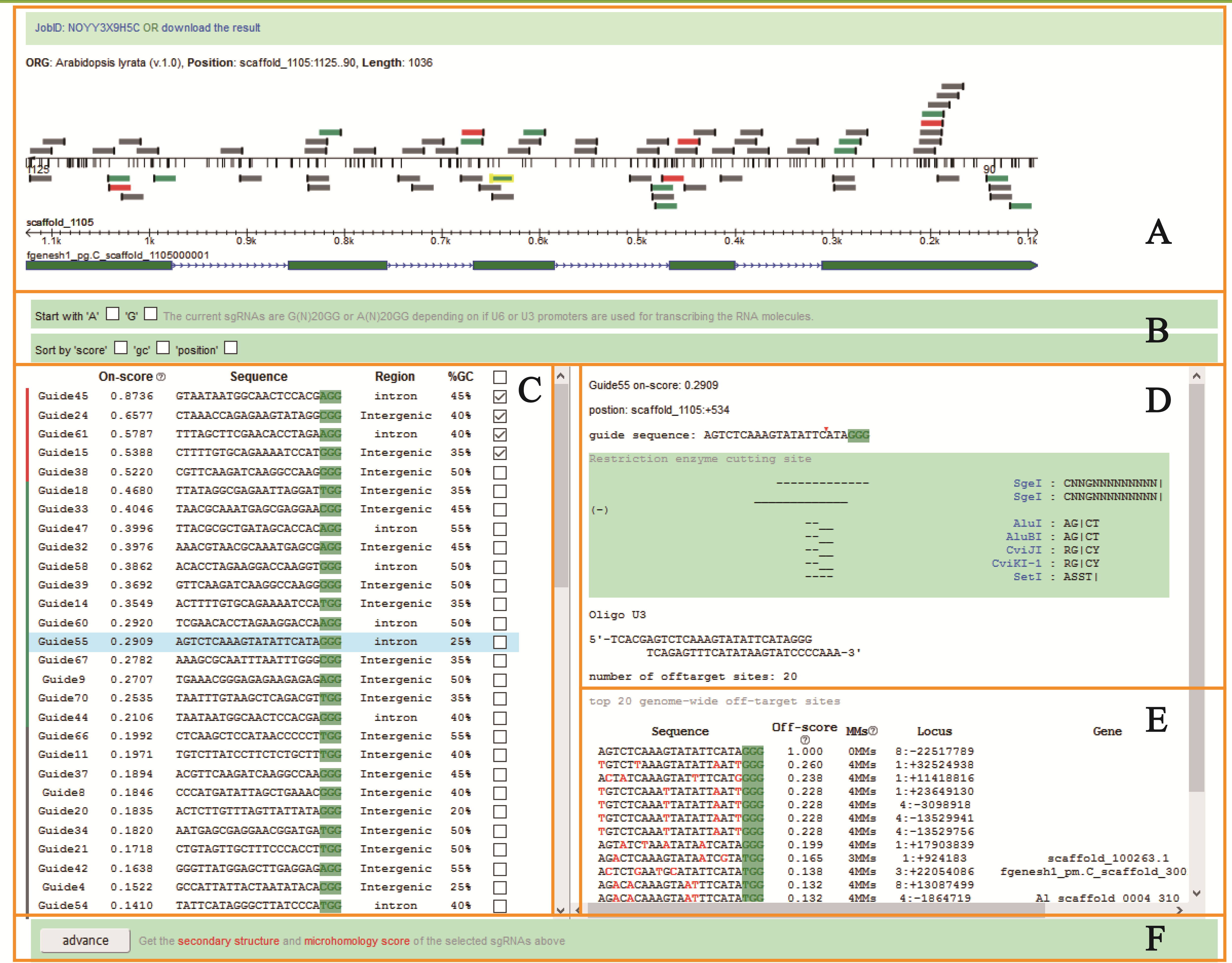 Figure 3. Result page of sgRNA design