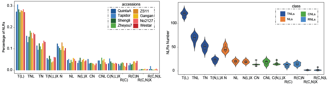 Brassica Napus Pan Genome Information Resource Bnpir